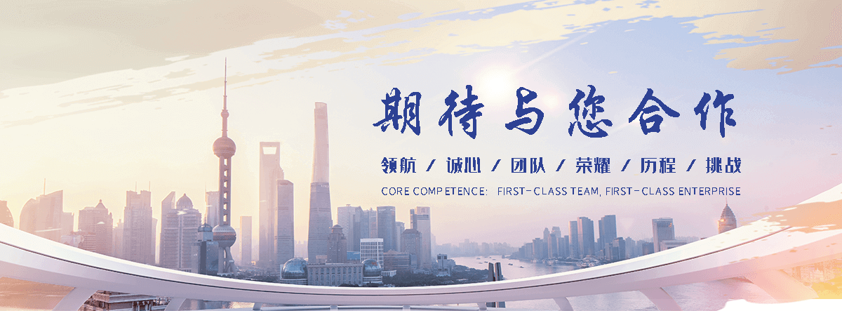 崇仁电子地磅